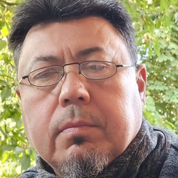 Miroslav Veljkovic