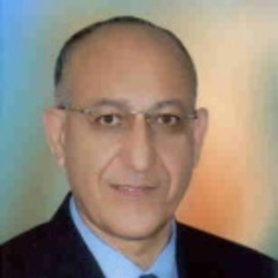 Essam Khamis