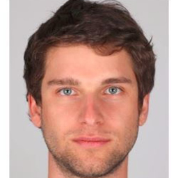 Fabian Hermann