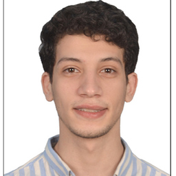 Alaa Maher