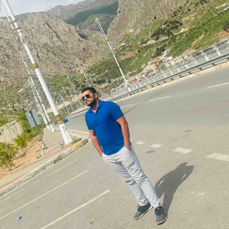 Mohamed Shamssalden