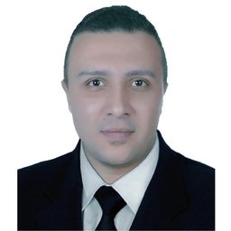 Mohamed Sakr