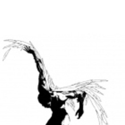 Sezer Sezgin