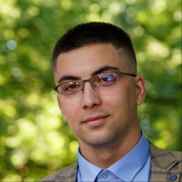 Vladimir Ristic