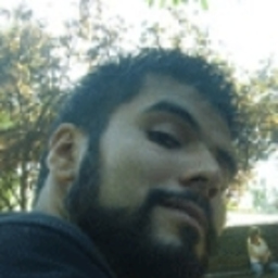 Francisco Javier Torrejón Collado