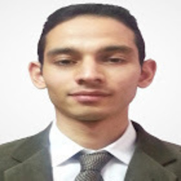 Dia'a Hassouna