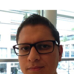 Dipl.-Ing. Mounir el Azzouzi