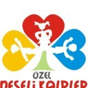 Neşeli Kalpler Anaokulu