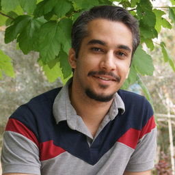 Amirhossein Shabani