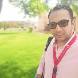 Hesham Allam