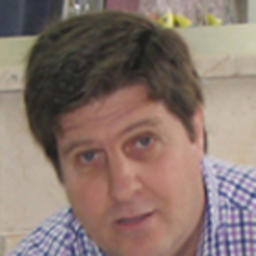Andrés J. Flores Alés