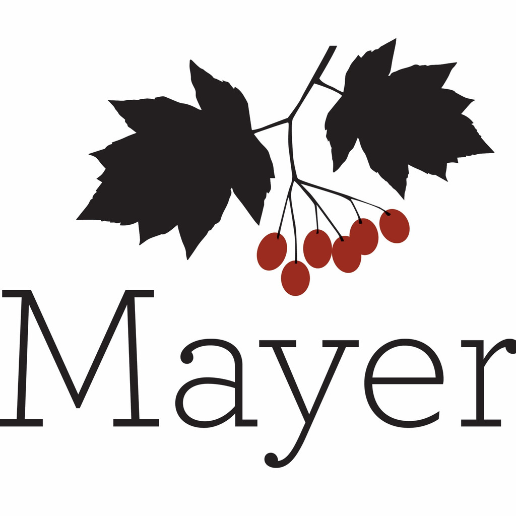 Jakob Mayer Geschäftsführer Mayer Elsbeere XING