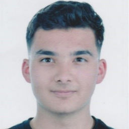 Efe Kanat