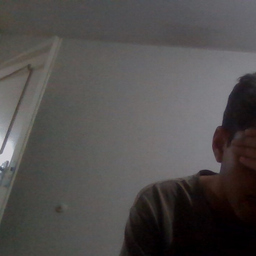Mohammad Mahdi Boroumandi's profile picture