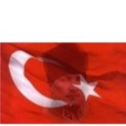 Murat Doğu