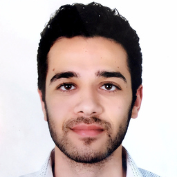 Hassan Ghoneim