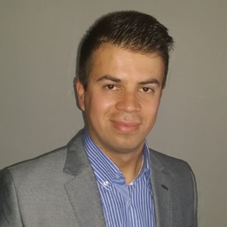Davor Dzalto