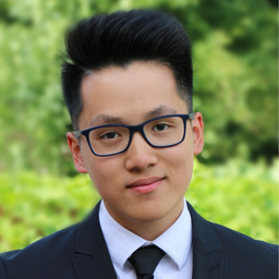 Manh Tien Truong