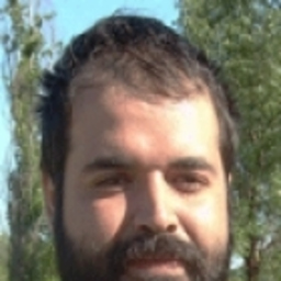 Julio Ibarguren