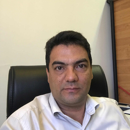 Mojtaba Ahmadi