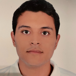 Mohamed Ali Chaabi