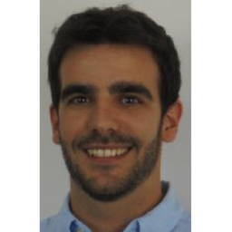 Dipl.-Ing. Jose Javier Lorrio Romera