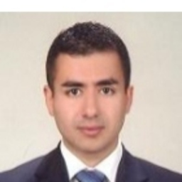 Arcan Ergür