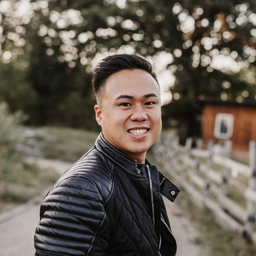 Chi-Hieu Nguyen