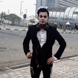 elhosein ahmed