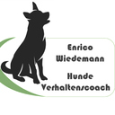 Social Media Profilbild Enrico Wiedemann Münster