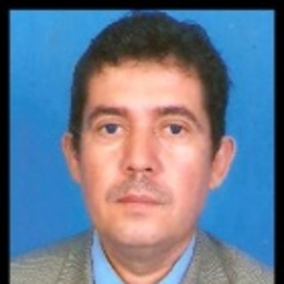 RAMON ALONSO TORRES GRISALES