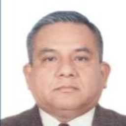 Pedro Castro Ynfantes