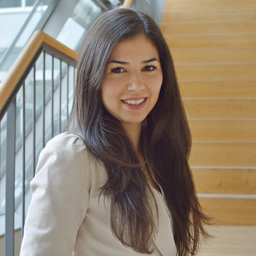 Deniz Güvercin