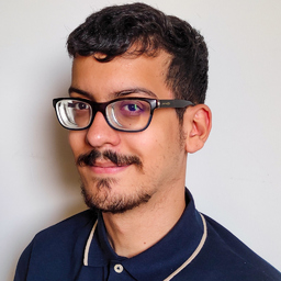 Ali Meddeb