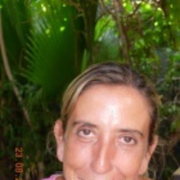 daniela vacirca