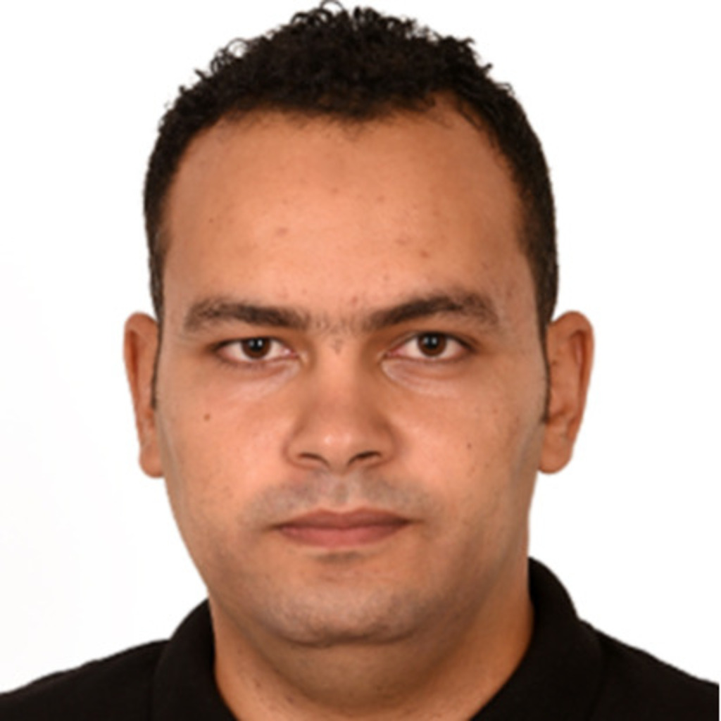 Yasser Fathi Abdelsayed - SAP FI/CO Berater - Experienced Certified ...