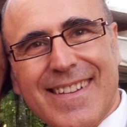 Fco. Javier De Lamo Gamir