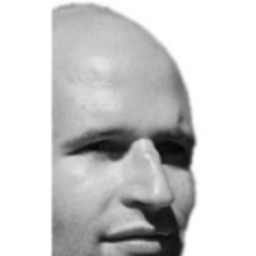 Armin Borrmann's profile picture