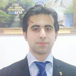 Amin Shamouni