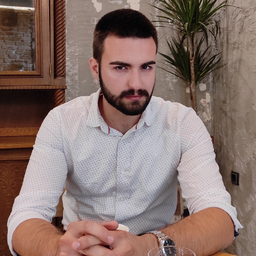 Denis Hasinović