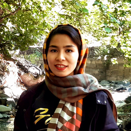 Maedeh Mohsenpour