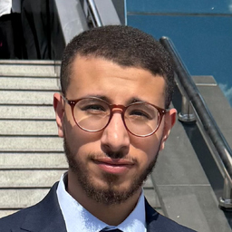 Hamza Elzarw