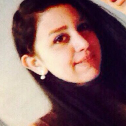 Ing. Saba Zamankhani