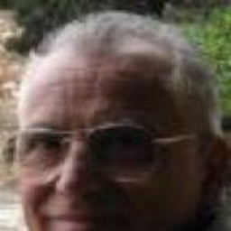 Enrique Arau Arau Puchades