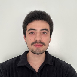 Mehmet Alp Aras