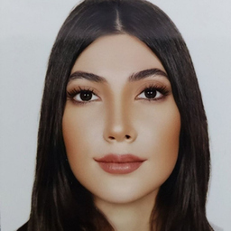 Elnaz Zandi