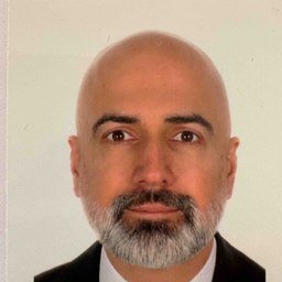 Behrang Adineh's profile picture