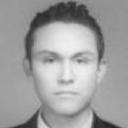 Francisco Antonio Flores Guardado