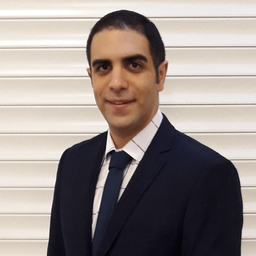 Mohammadreza Mirlohi