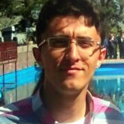 AMIR MOHAMMADIMEHR